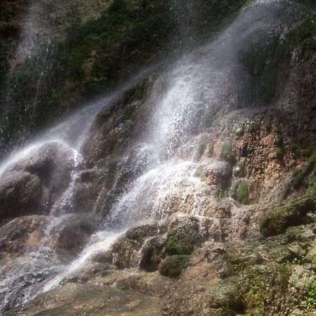 الشقق الفندقية سان سيباستيانفي  Hacienda El Jibarito المظهر الخارجي الصورة