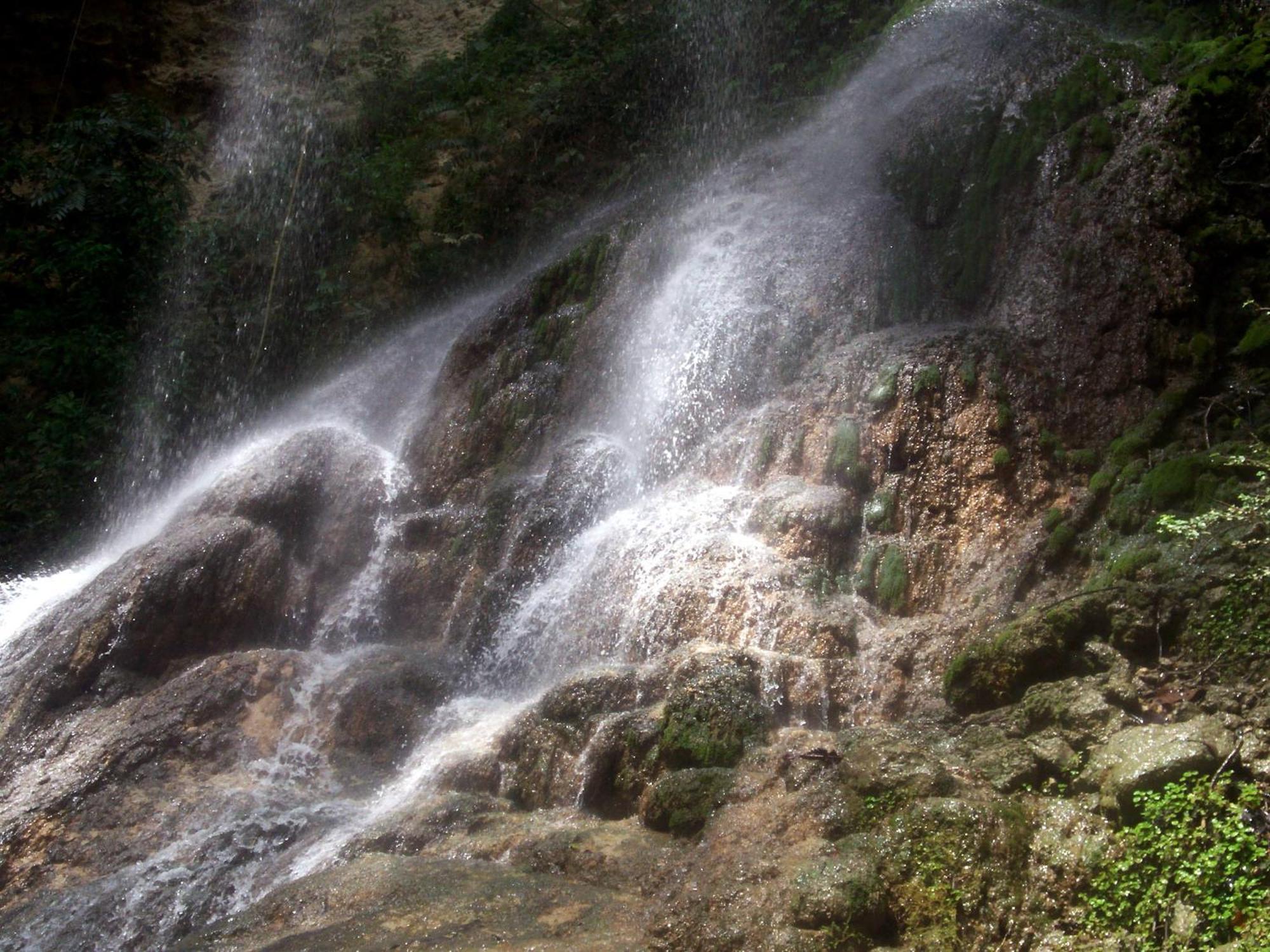 الشقق الفندقية سان سيباستيانفي  Hacienda El Jibarito المظهر الخارجي الصورة