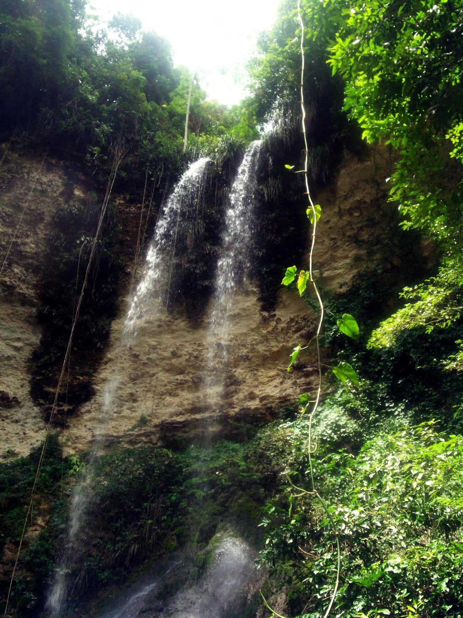الشقق الفندقية سان سيباستيانفي  Hacienda El Jibarito المظهر الخارجي الصورة